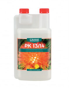 PK 13-14 Canna
