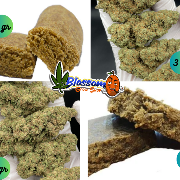 CBD Pack Degustación Mixto Blossom (24 gr)