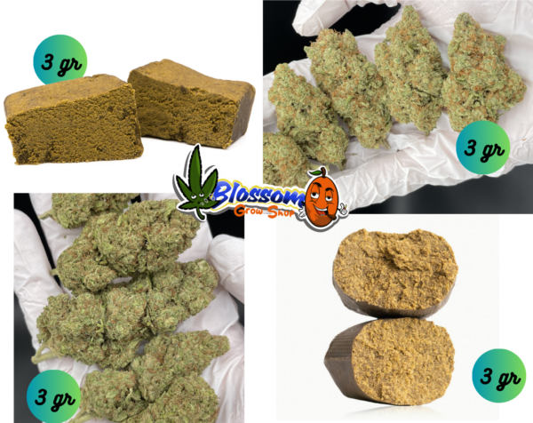 CBD Pack Degustación Mixto Blossom (24 gr) - Imagen 2