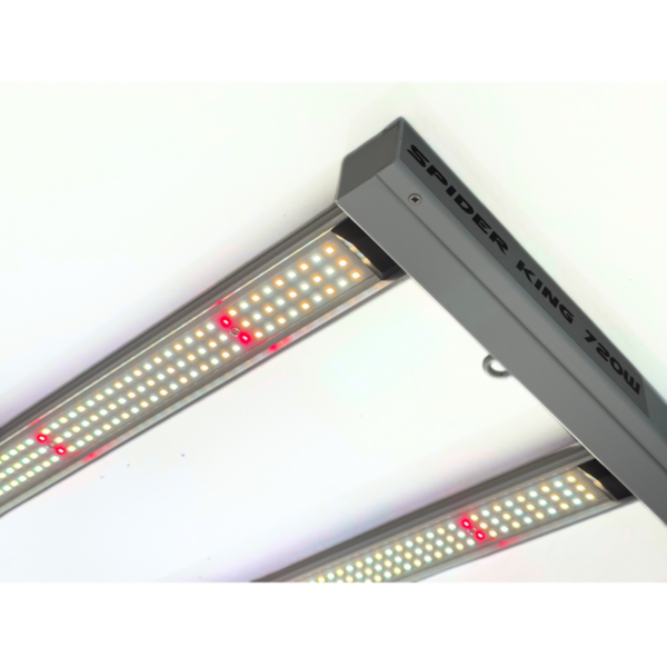 Led Spider King 720W Vanguard - Imagen 2