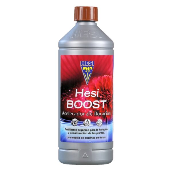 Hesi Boost