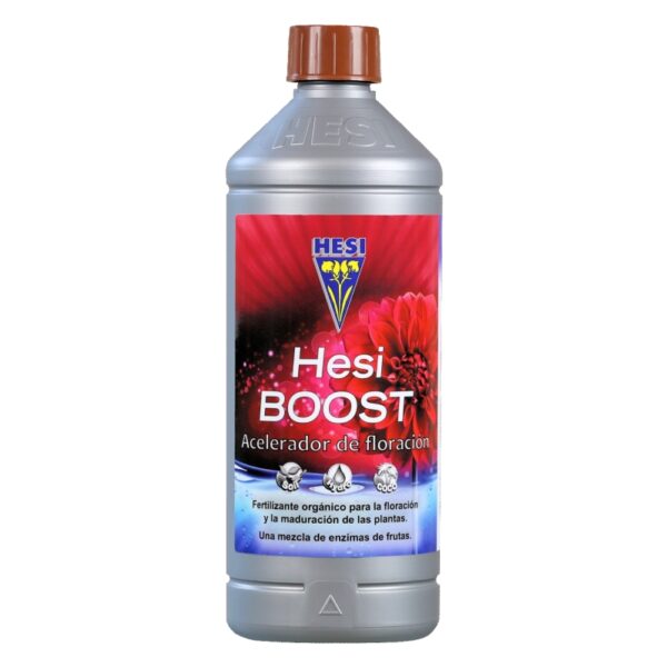 Hesi Boost