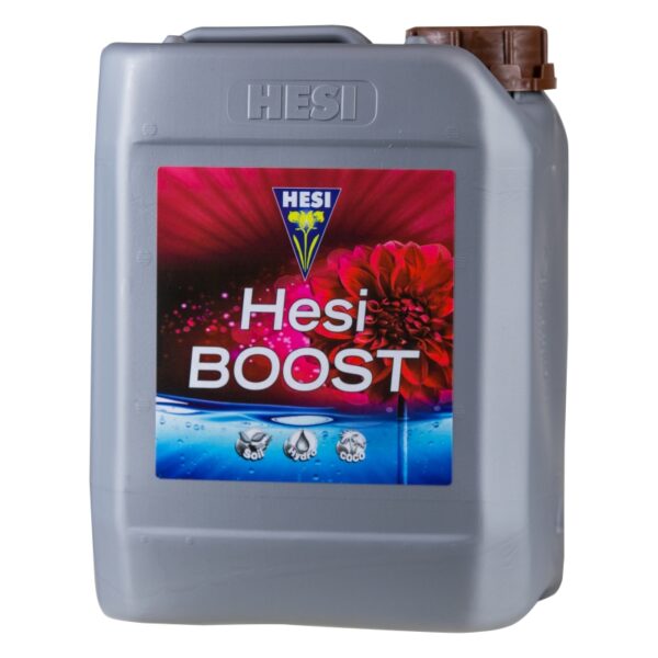 Hesi Boost - Imagen 2