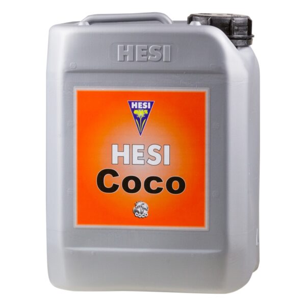 Coco Hesi - Imagen 2