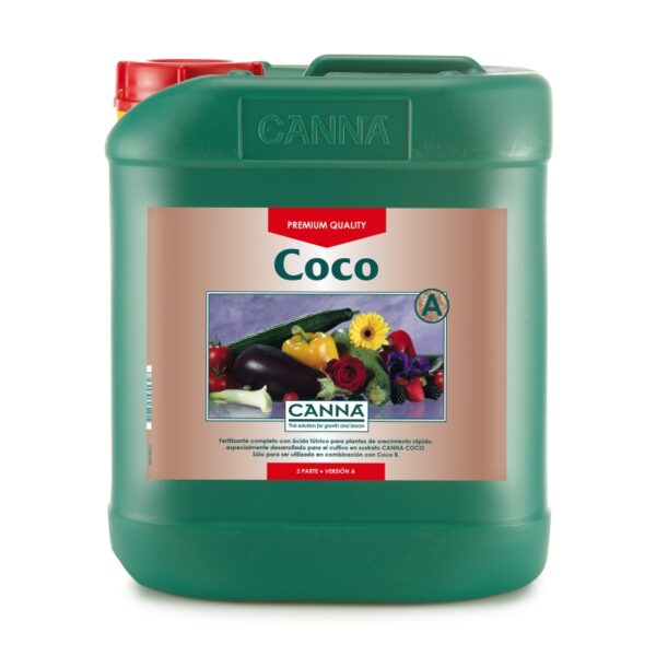 Coco A Canna - Imagen 2