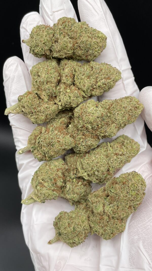 CBD Orange Sherbet - Imagen 2