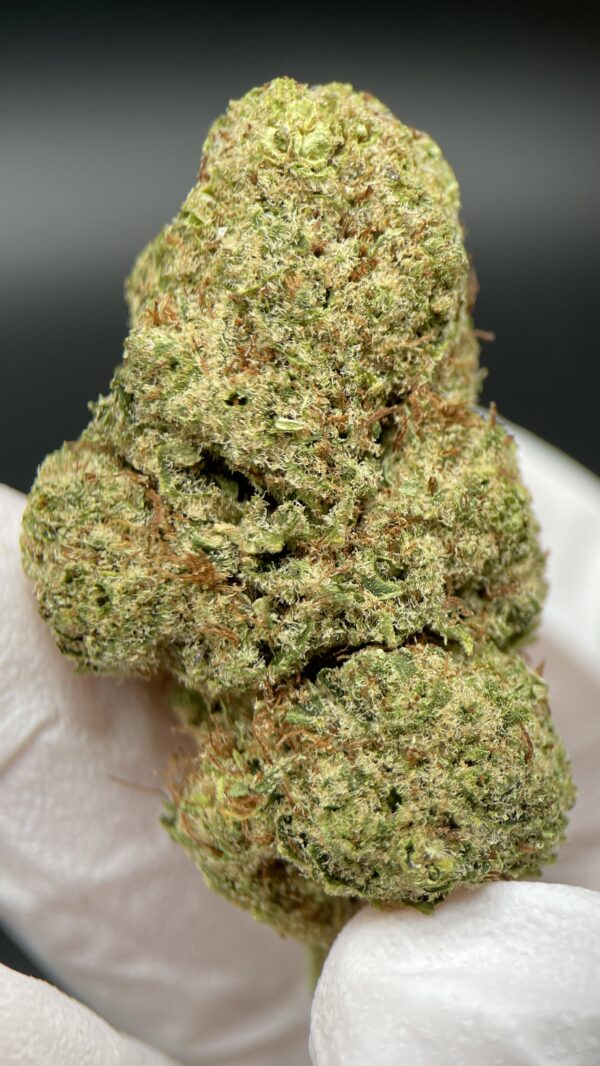 CBD Orange Sherbet
