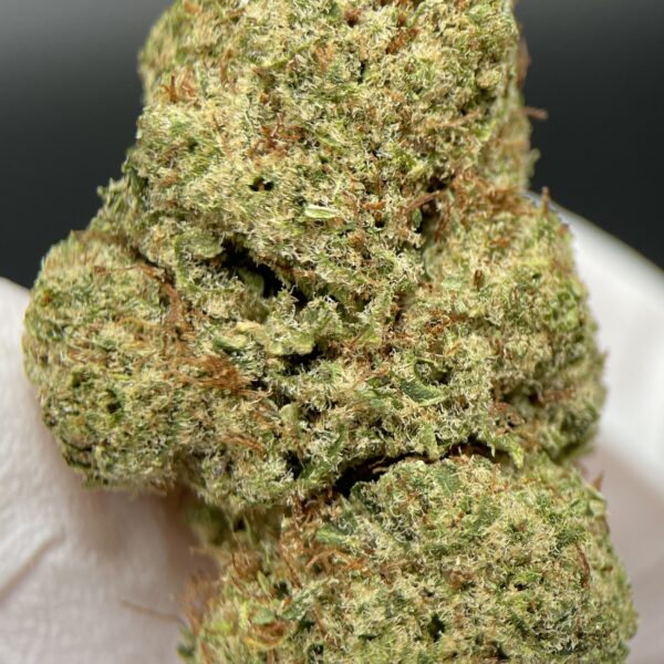 CBD Orange Sherbet